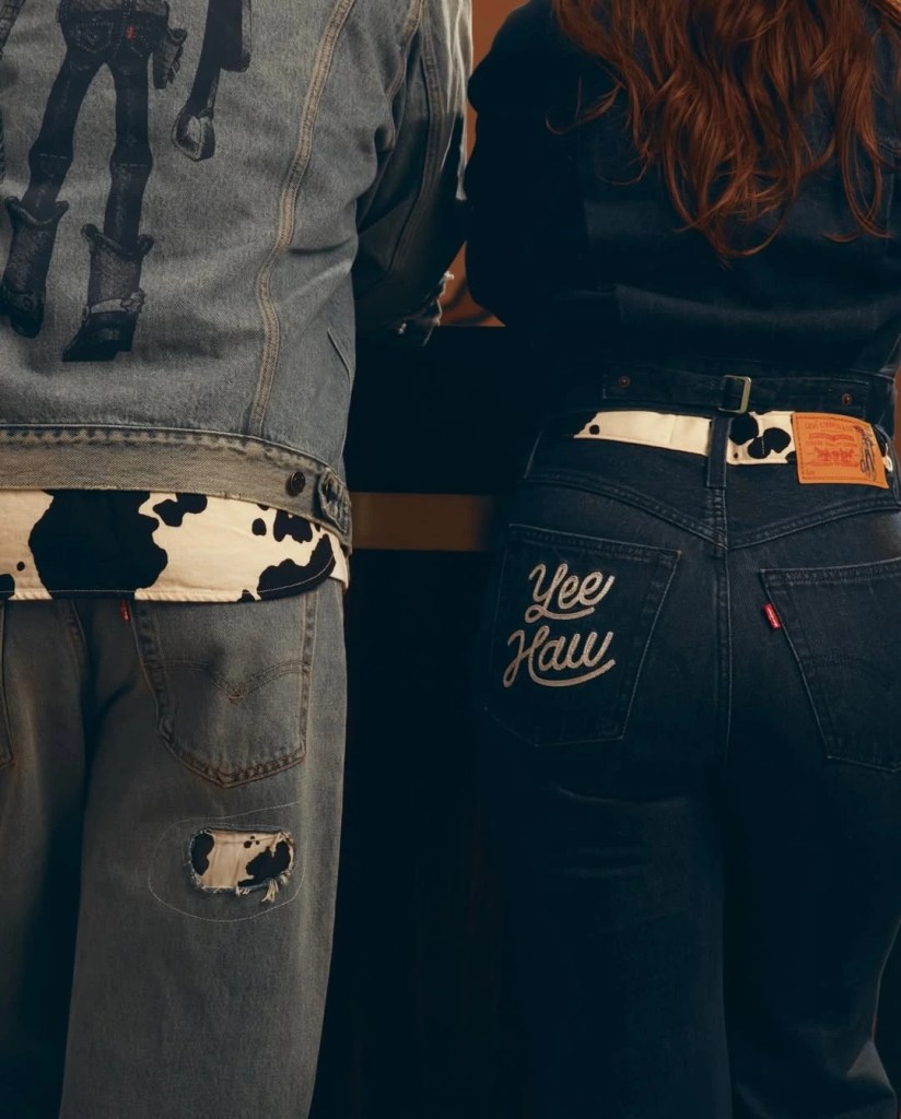 toystory levis bridge3